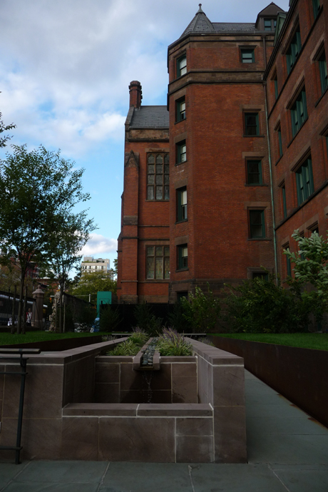 Garden Garden